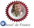 BF_stefr-frenchy